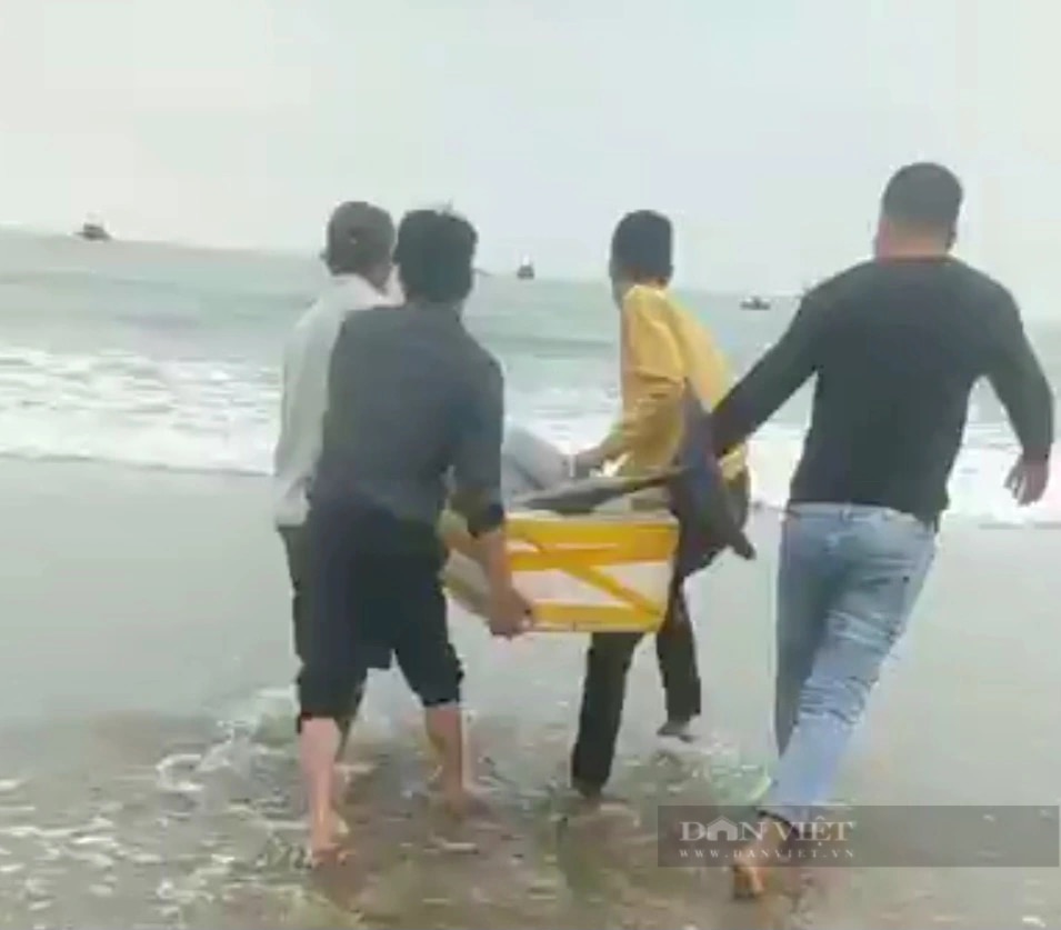 Một con cá heo sắp bị xẻ thịt, dân làng chài ở Quảng Bình góp tiền mua đem thả xuống biển- Ảnh 1.