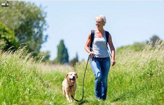 Nghiên cứu tìm ra số bước tuổi 50 nên đi bộ mỗi ngày- Ảnh 1.