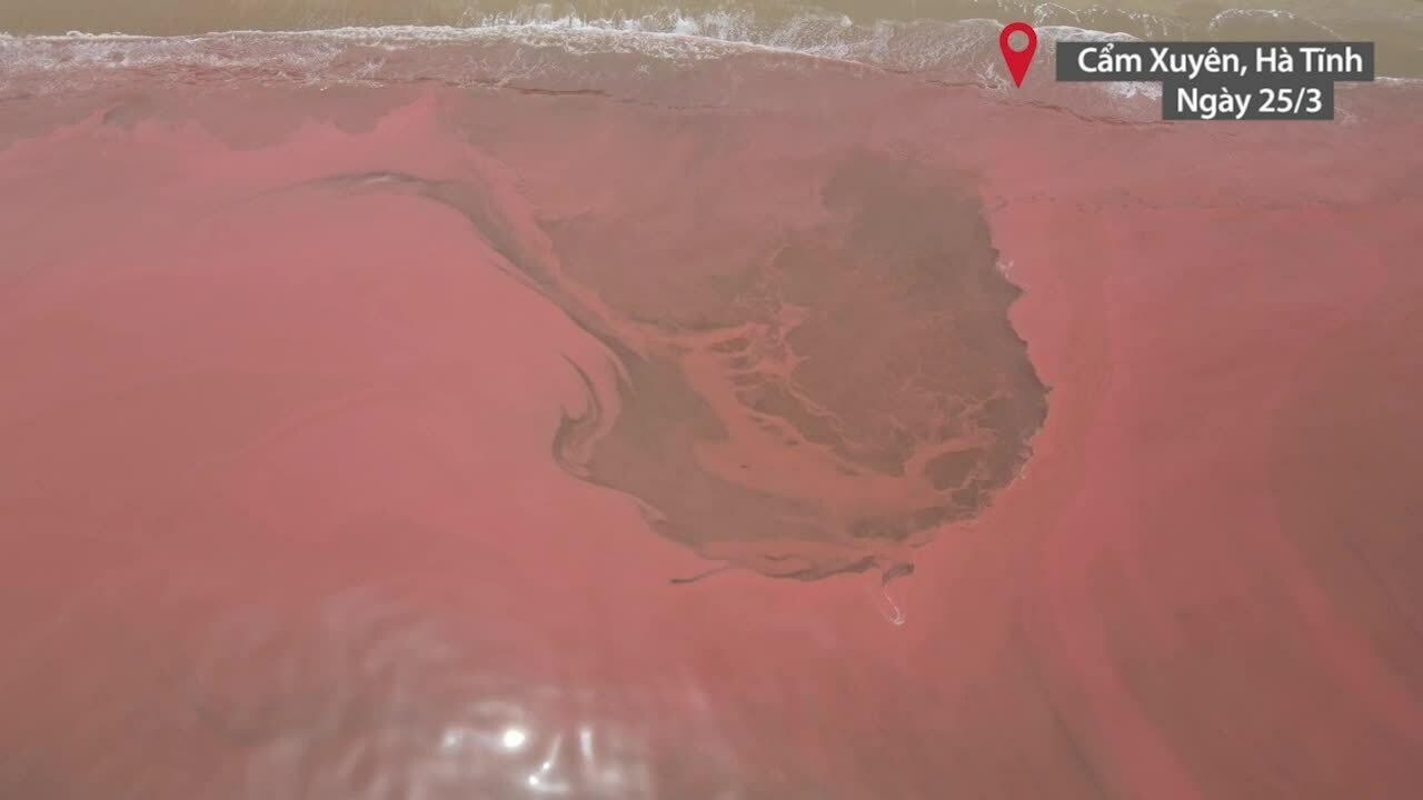 Nước biển ở Hà Tĩnh đổi màu do thủy triều đỏ