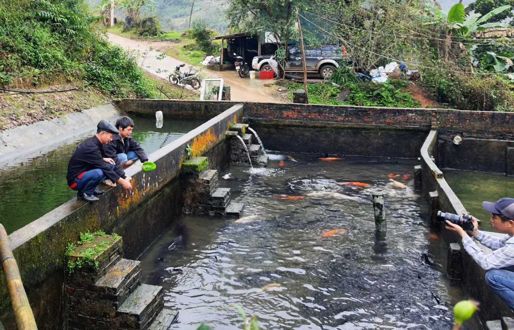 Ở một cái khe nước lạnh mát của Quảng Ninh, nuôi cá ngoại quốc thành công, bán 200.000 đồng/kg, thu tiền tỷ- Ảnh 1.