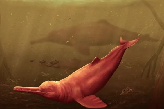 Thế giới - Phát hiện dấu tích “thủy quái đỏ khổng lồ” ở Peru