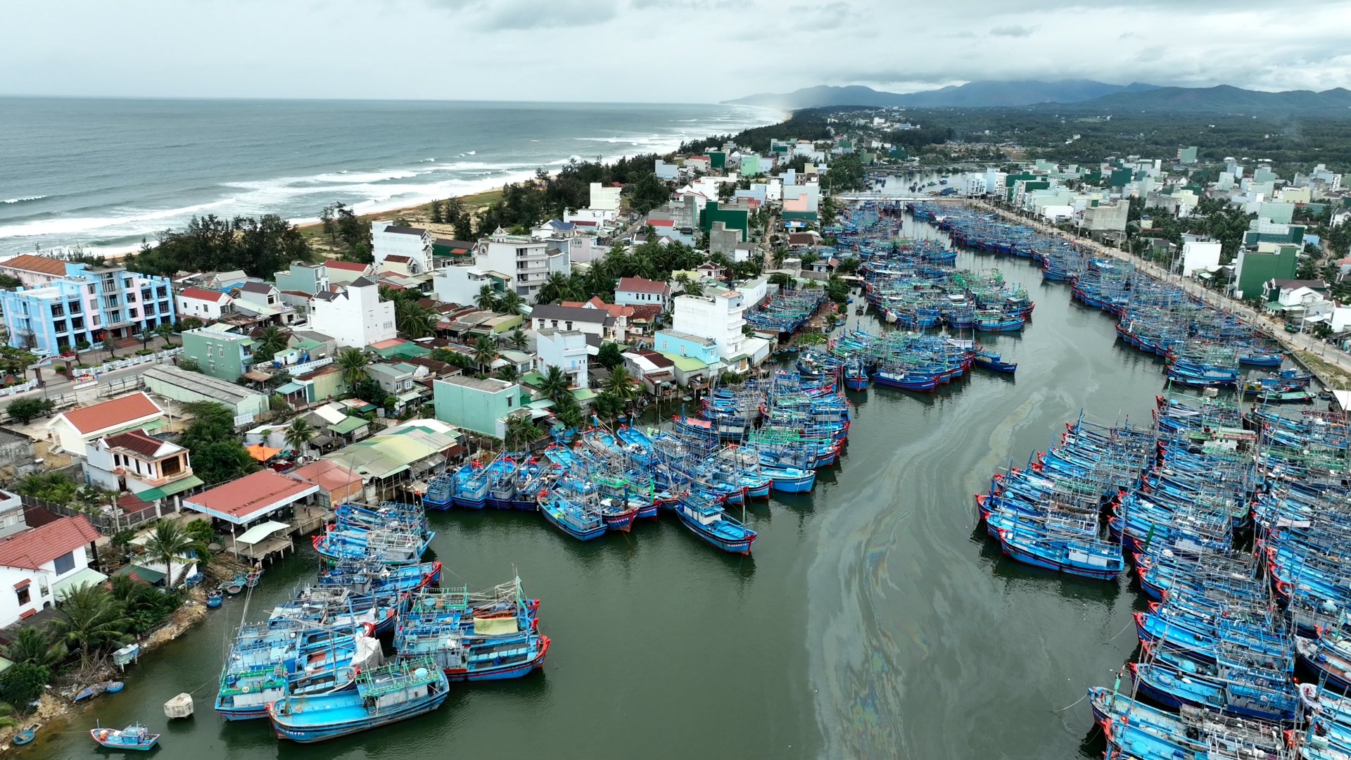 Chính sách - Bình Định: Sớm hoàn thiện thủ tục, xây khu trú bão cho tàu cá (Hình 2).