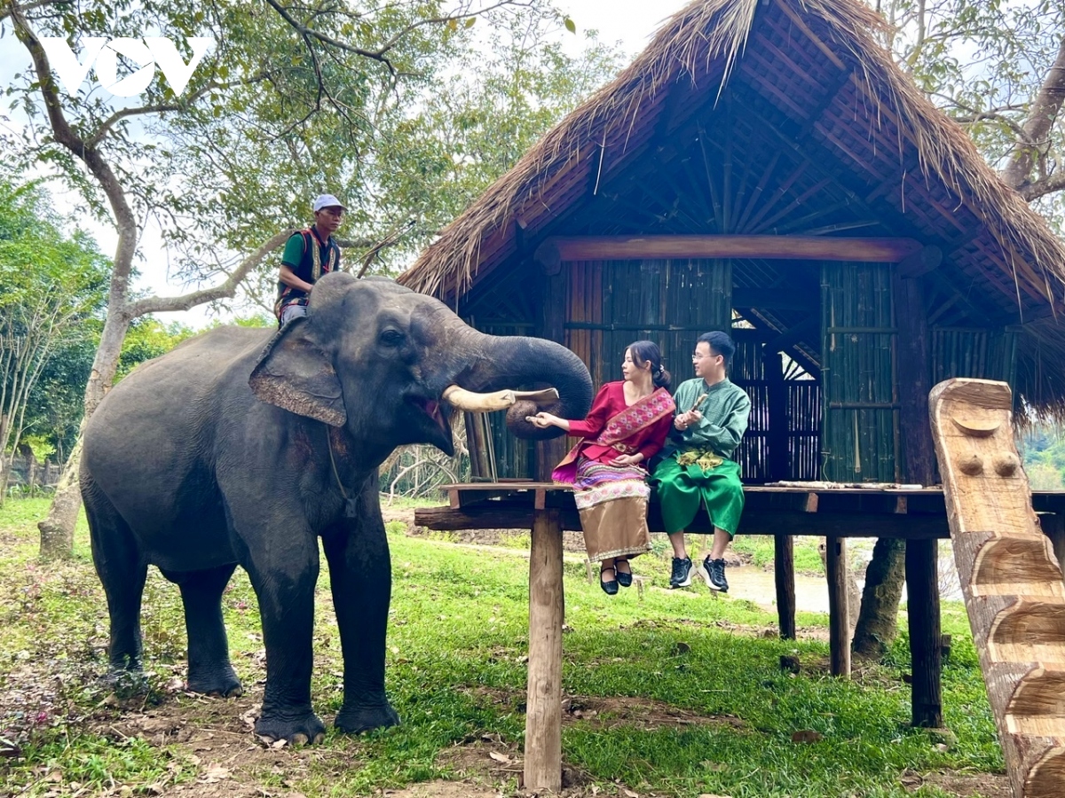 tháng 3 tây nguyên mời gọi du khách bằng loạt sự kiện hấp dẫn hình ảnh 1 thang 3 tay nguyen moi goi du khach bang loat su kien hap dan hinh anh 1