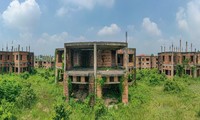Thành phố 'ma' Nhơn Trạch hoang tàn, thành nơi thả trâu sau 20 năm