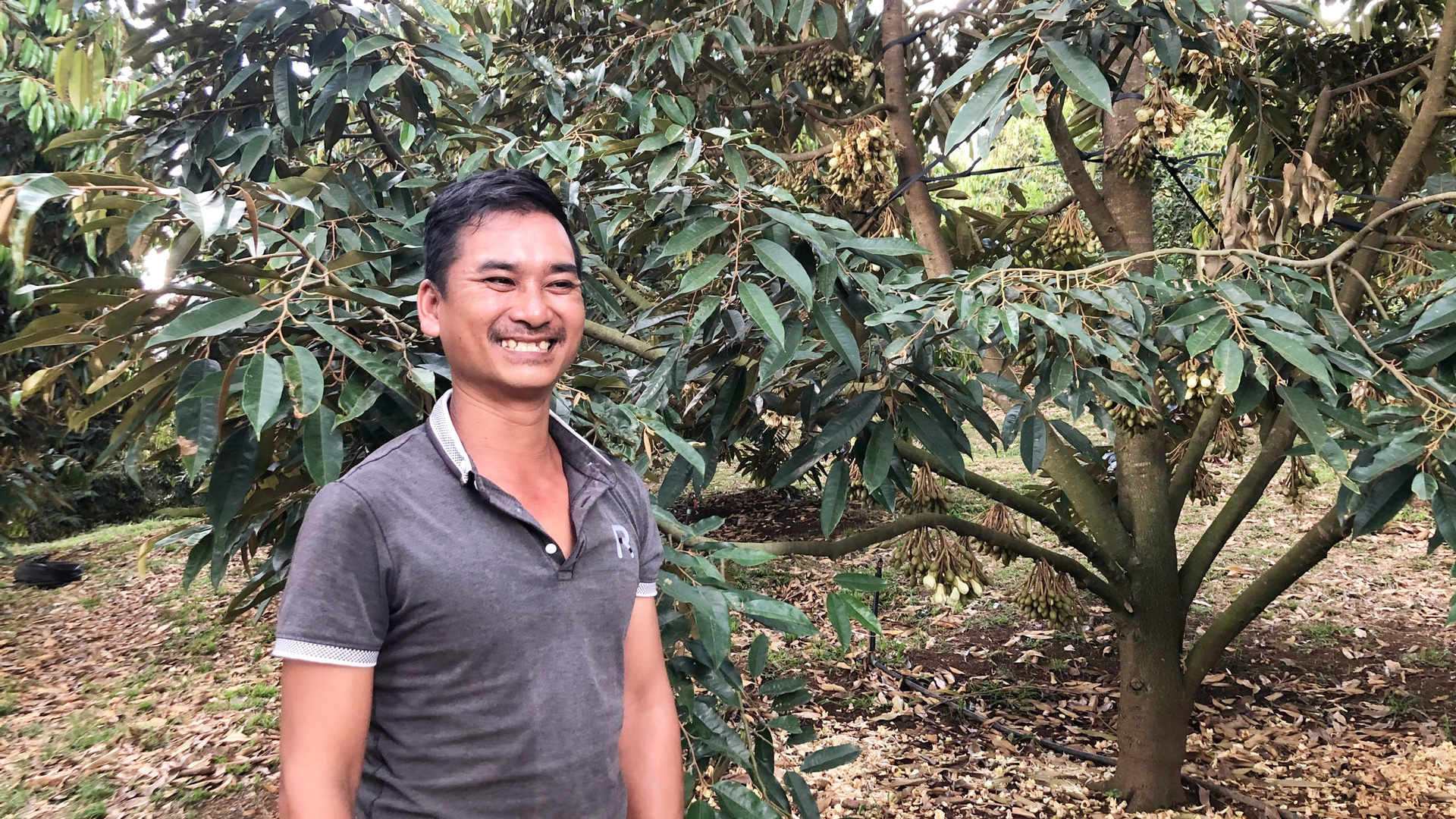 Vùng đất Hang Ka ở Lâm Đồng, một vườn cây của người Châu Mạ ra loại trái ngon, bán đắt tiền- Ảnh 1. Vùng đất Hang Ka ở Lâm Đồng, một vườn cây của người Châu Mạ ra loại trái ngon, bán đắt tiền- Ảnh 1.