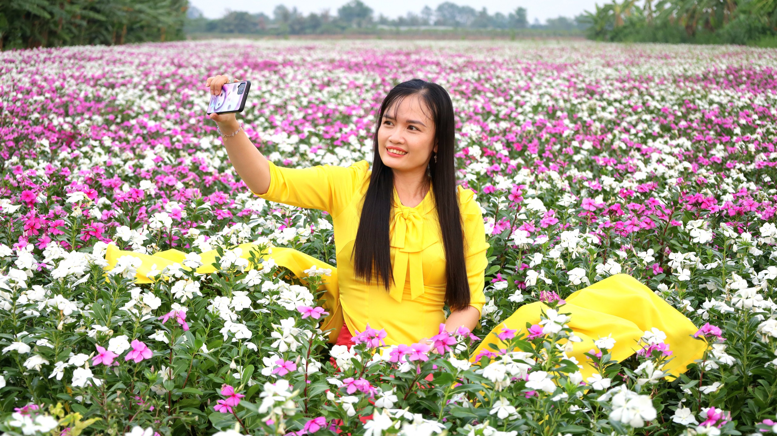 Vườn trồng cây thuốc Nam ở Cần Thơ bất ngờ trở thành điểm check-in hút khách- Ảnh 2. Vườn trồng cây thuốc Nam ở Cần Thơ bất ngờ trở thành điểm check-in hút khách- Ảnh 2.