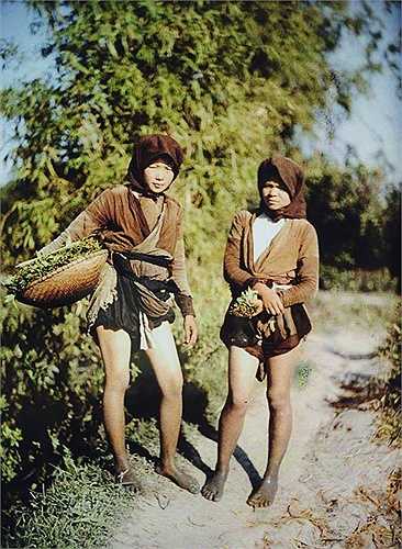 bo-anh-mau-cuc-hiem-ve-viet-nam-hon-100-nam-truoc-5-17 - Vietnam.vn Các thiếu nữ đi hái rau.