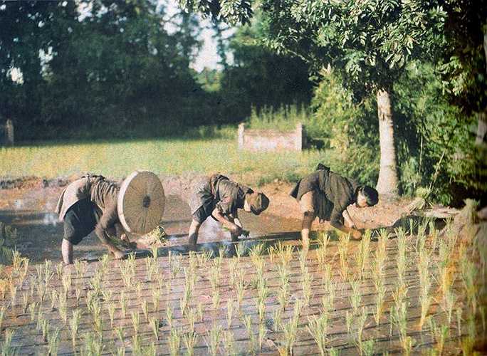 bo-anh-mau-cuc-hiem-ve-viet-nam-hon-100-nam-truoc-8-17 - Vietnam.vn Văn hóa lúa nước 100 năm trước có khác với bây giờ?