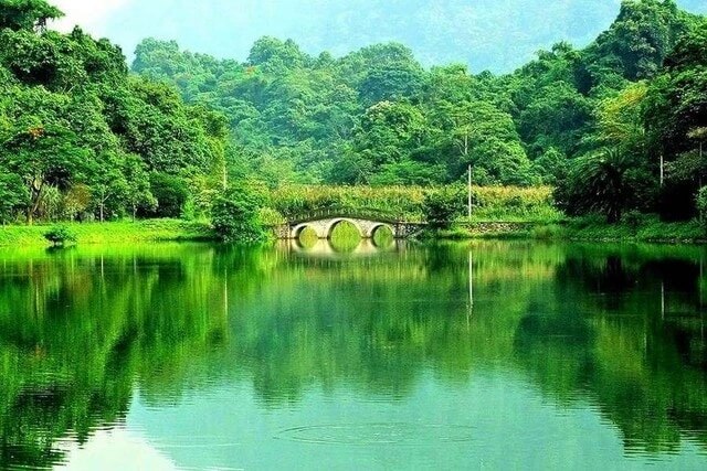 'Điểm danh' các vườn quốc gia đẹp và nổi tiếng tại Việt Nam- Ảnh 3.