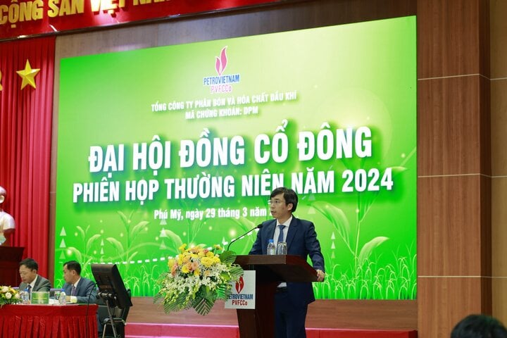 Ông Nguyễn Ngọc Anh báo cáo tại phiên họp.