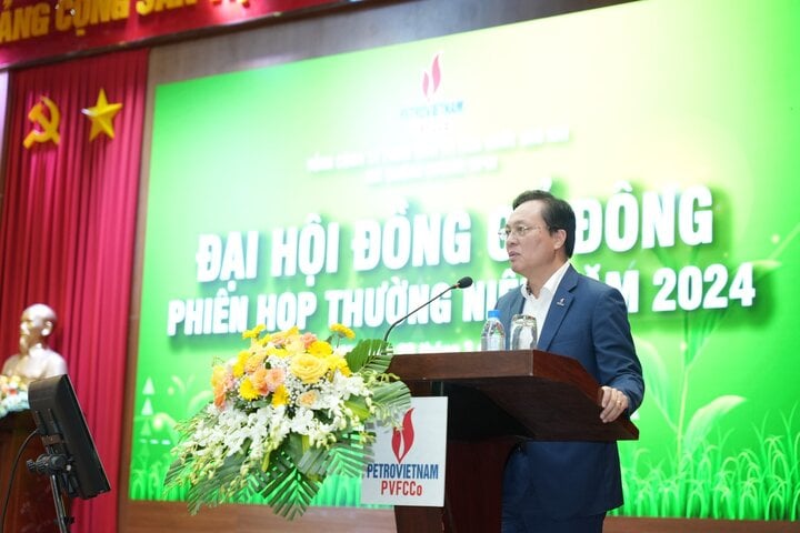 Ông Bùi Minh Tiến phát biểu tại phiên họp.