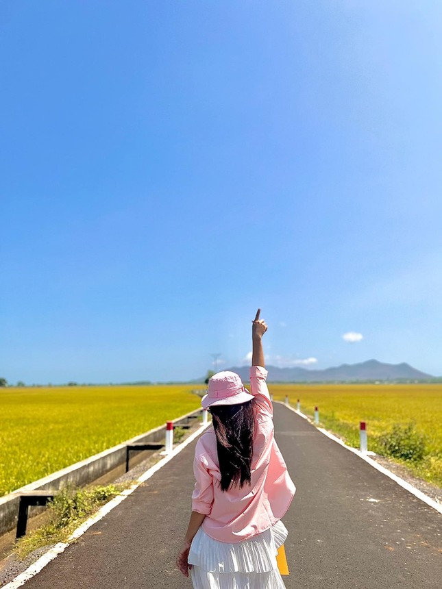 Con đường giữa cánh đồng vàng ruộm ở Vũng Tàu, đẹp như phim hoạt hình Nhật Bản ảnh 6