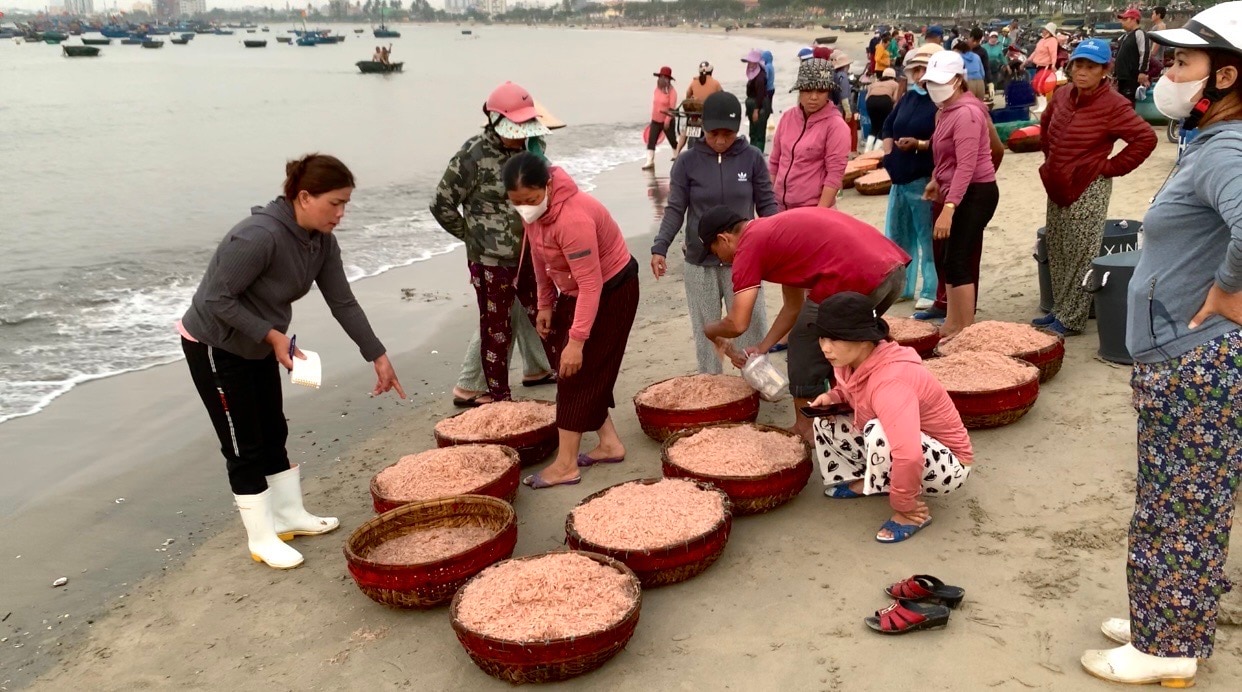 Khu chợ ven biển Đà Nẵng, chỉ bán độc nhất một loại hải sản- Ảnh 5.