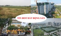 Sắp thu hồi hơn 2.600ha đất nông nghiệp ở Hà Nội, trụ sở của Tân Hoàng Minh trên đất &apos;vàng&apos; bị rao bán