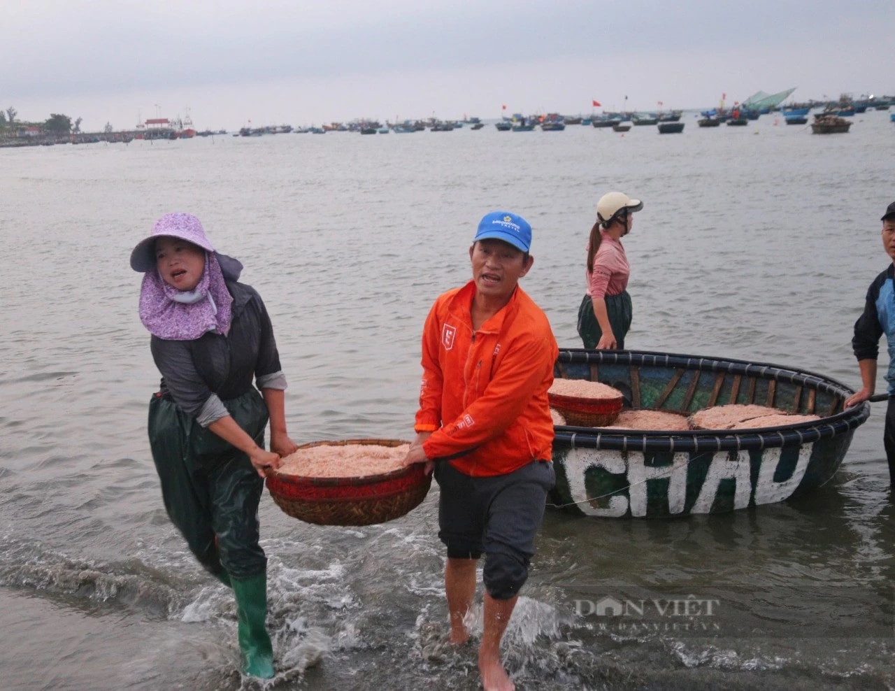 Trúng cả tấn ruốc biển, ngư dân Đà Nẵng thu tiền triệu mỗi ngày- Ảnh 3.