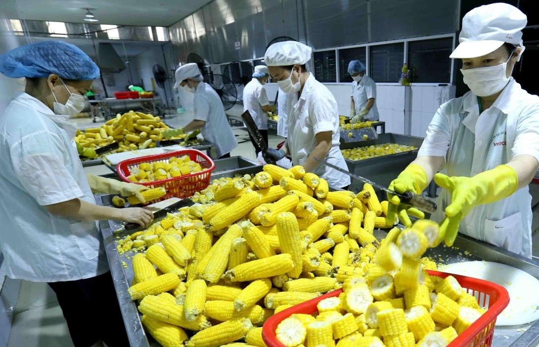 Singapore siết kiểm soát thực phẩm nhập khẩu để bảo vệ người tiêu dùng trong nước