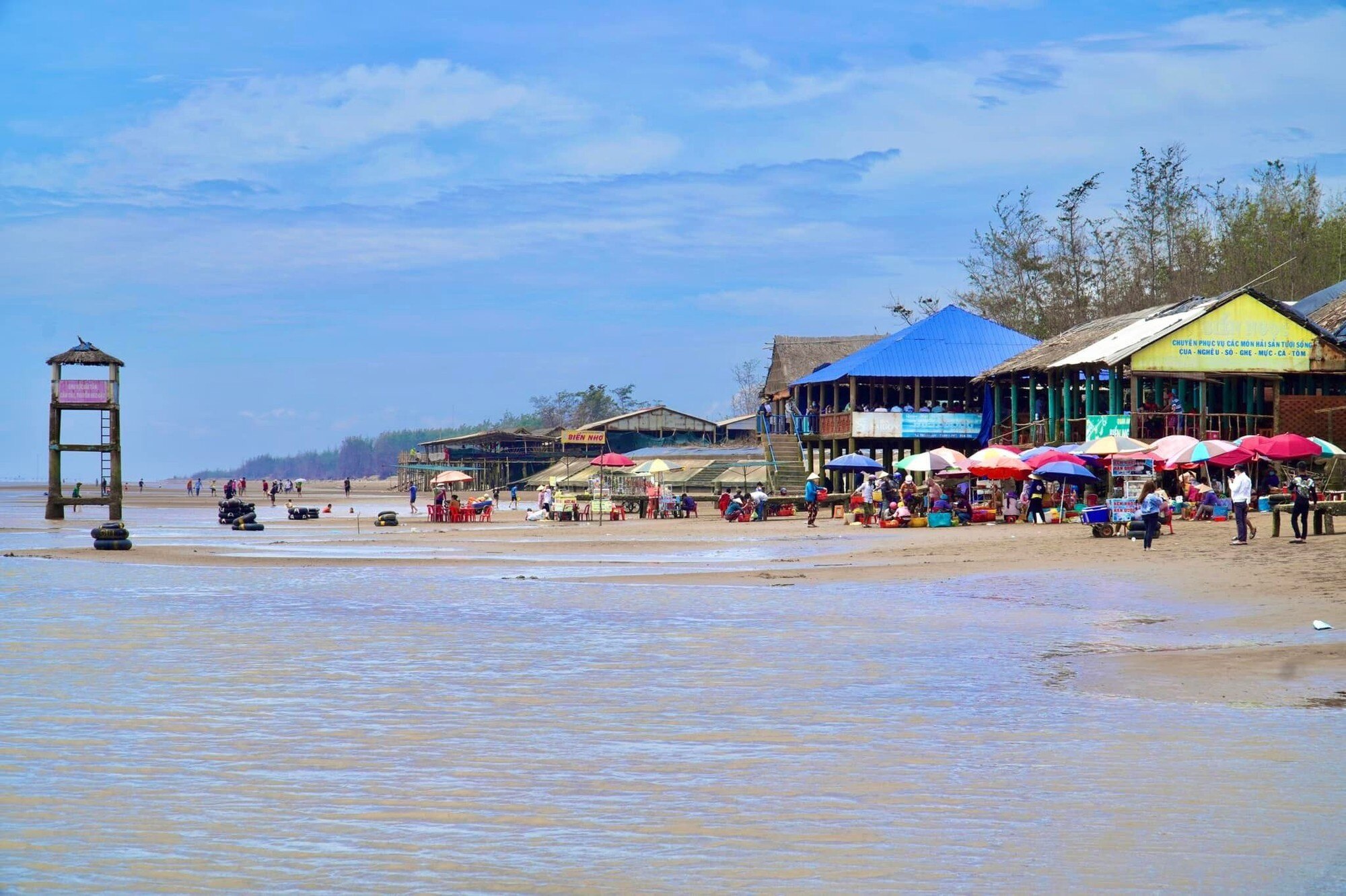 Chợ biển ở một huyện của Bến Tre họp ngay mép sóng, mua bán la liệt tôm, cua, cá, ốc ngon, lạ mắt- Ảnh 2.