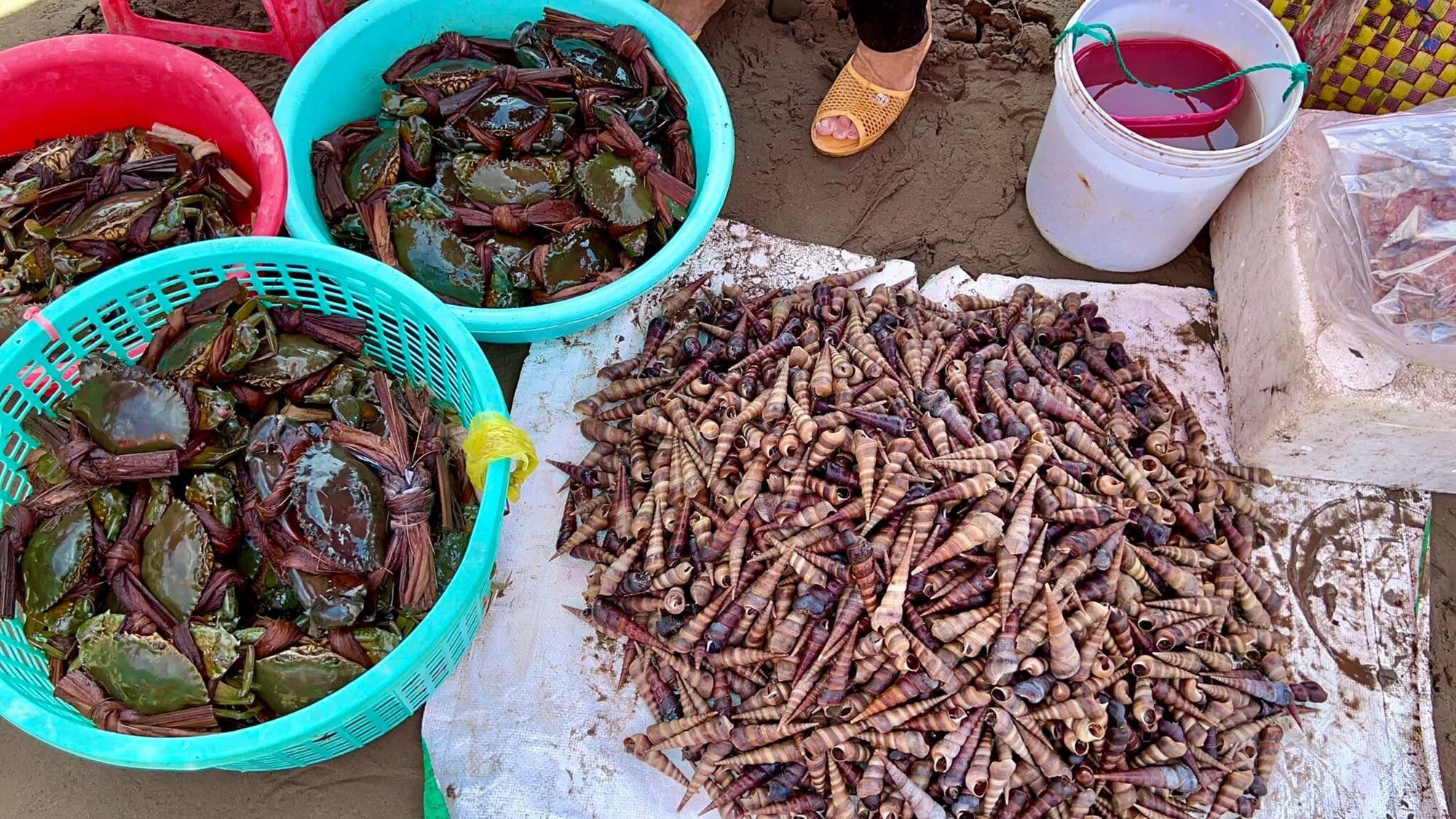 Chợ biển ở một huyện của Bến Tre họp ngay mép sóng, mua bán la liệt tôm, cua, cá, ốc ngon, lạ mắt- Ảnh 4.