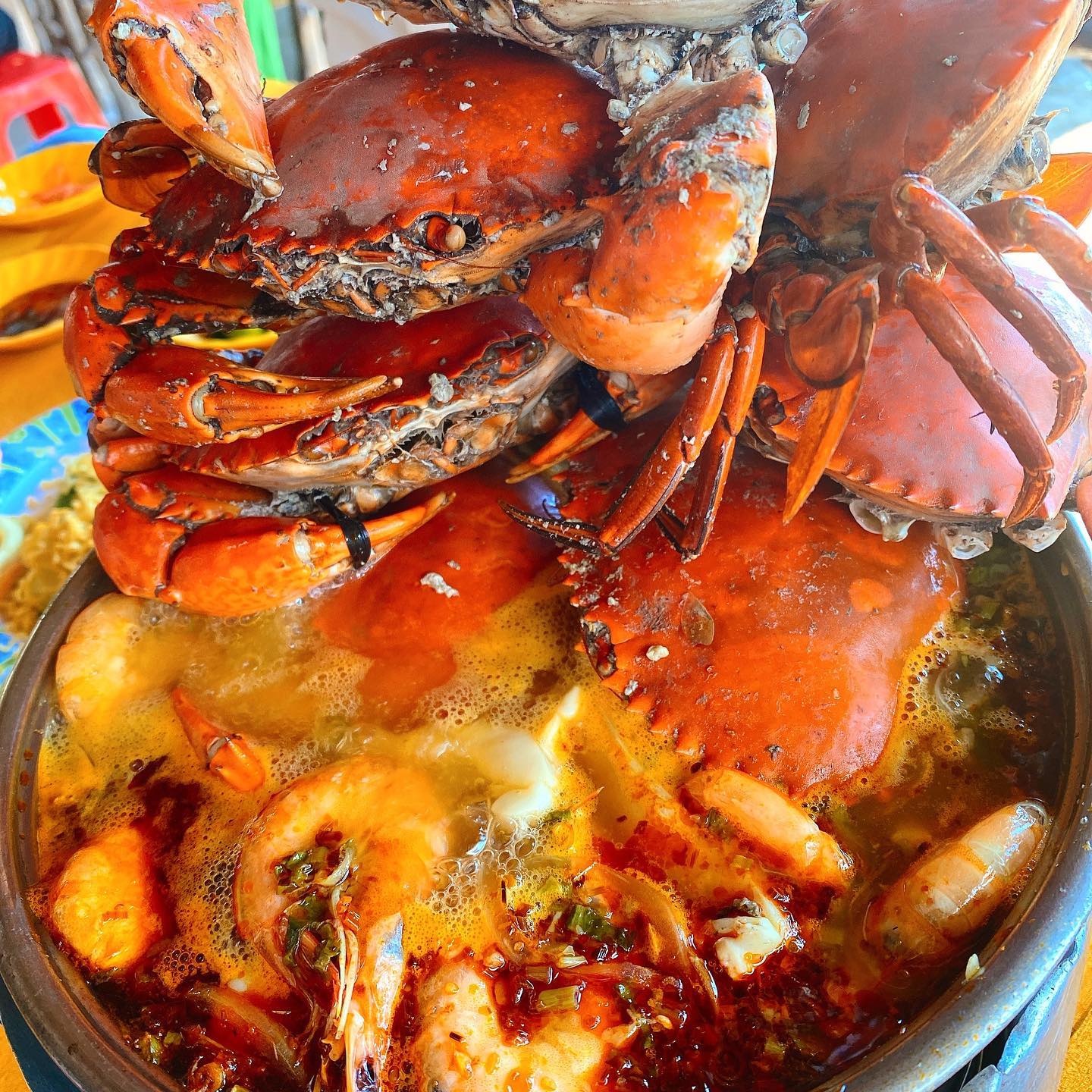 Chợ biển ở một huyện của Bến Tre họp ngay mép sóng, mua bán la liệt tôm, cua, cá, ốc ngon, lạ mắt- Ảnh 11. Chợ biển ở một huyện của Bến Tre họp ngay mép sóng, mua bán la liệt tôm, cua, cá, ốc ngon, lạ mắt- Ảnh 11.