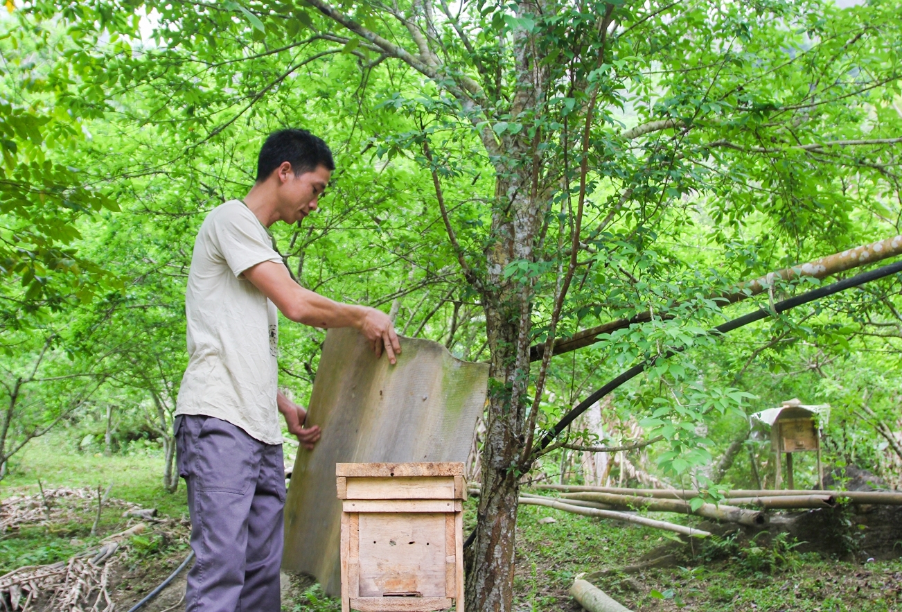 Nhiều mô hình phát triển kinh tế được triẻn khai tại Bảo Lâm Nhiều mô hình phát triển kinh tế được triẻn khai tại Bảo Lâm