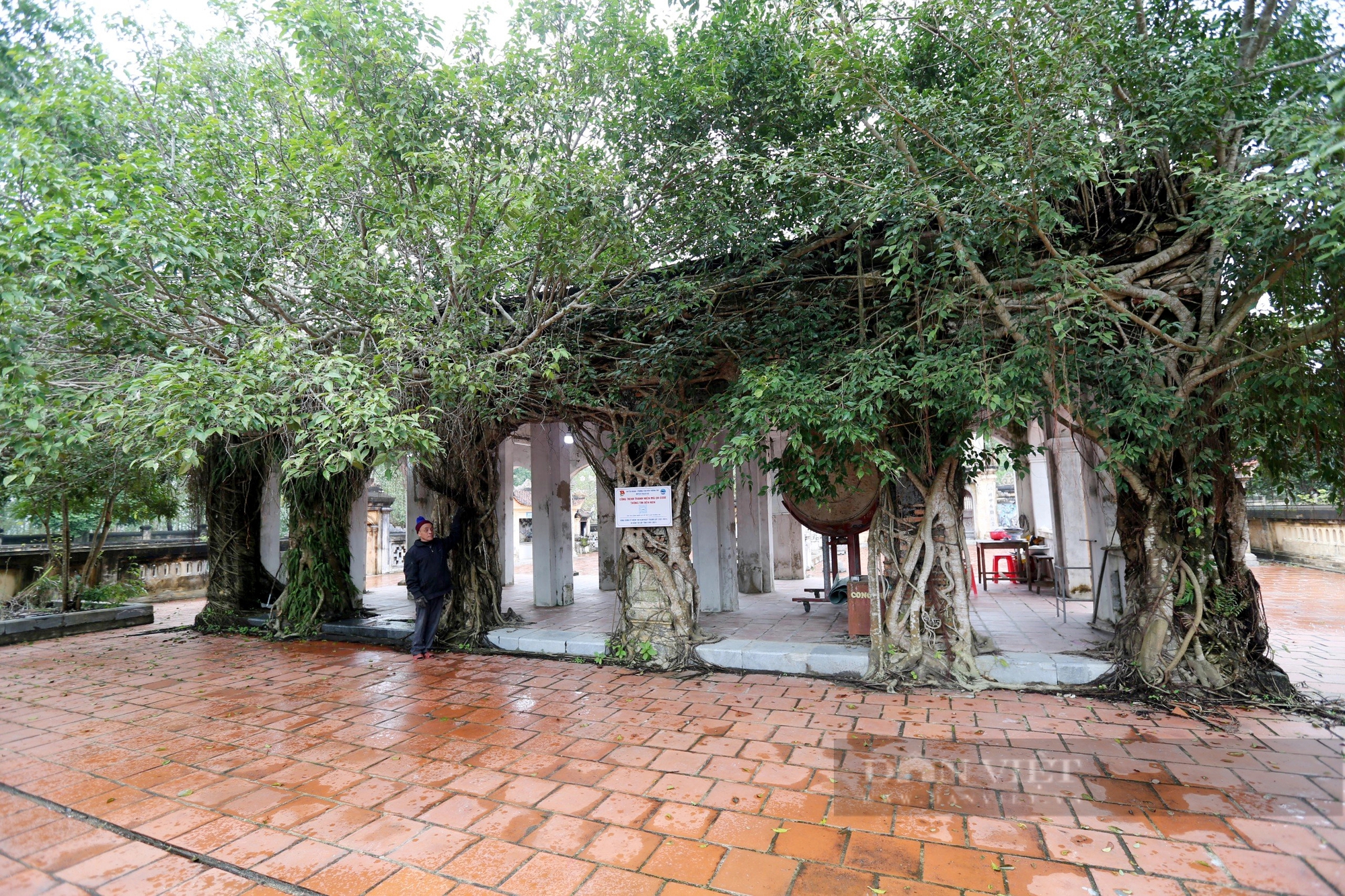 Khám phá ngôi đền có kiến trúc độc đáo hơn 600 tuổi thờ con trai vua Lý Công Uẩn- Ảnh 11. Khám phá ngôi đền có kiến trúc độc đáo hơn 600 tuổi thờ con trai vua Lý Công Uẩn- Ảnh 11.