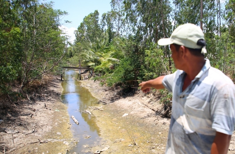 Wie beurteilt das Bewässerungsministerium die Dürre- und Salzgehaltssituation im Mekong-Delta – Foto 2.