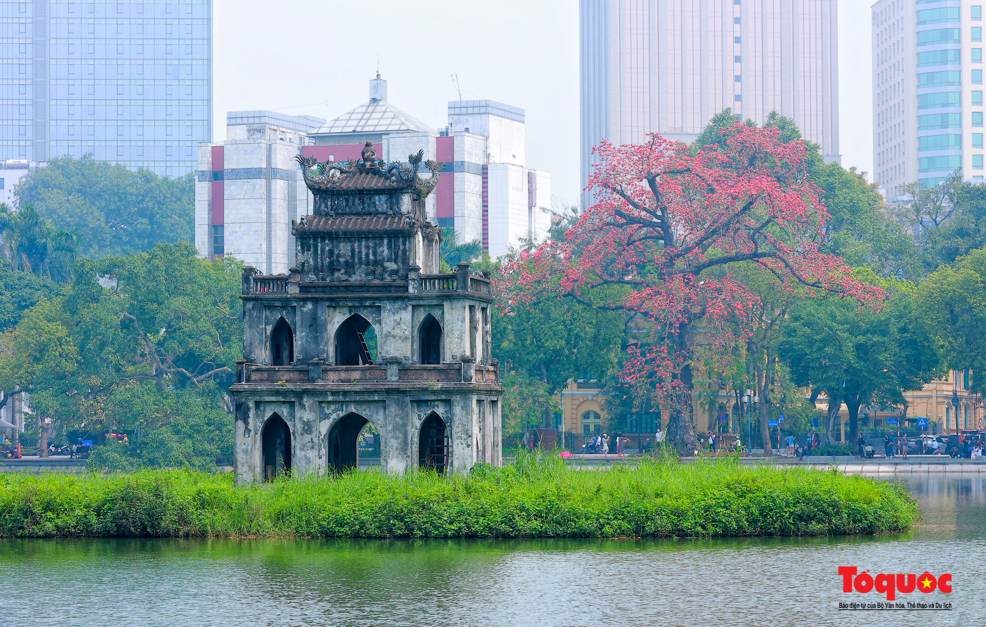 Mùa hoa gạo trong phố - Ảnh 5. Mùa hoa gạo trong phố - Ảnh 5.