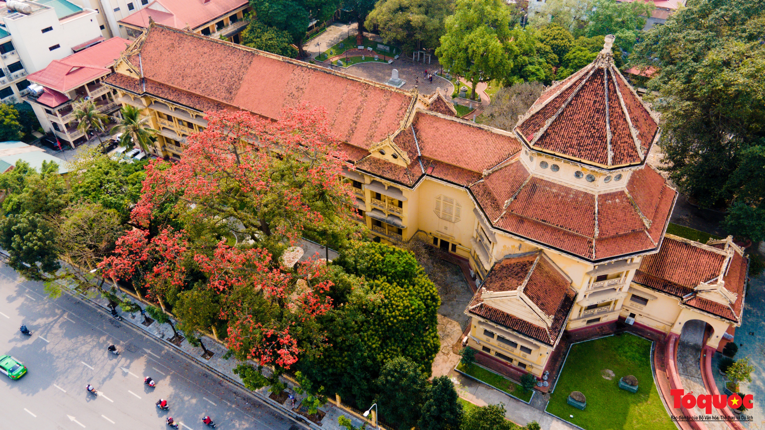 Mùa hoa gạo trong phố - Ảnh 11. Mùa hoa gạo trong phố - Ảnh 11.