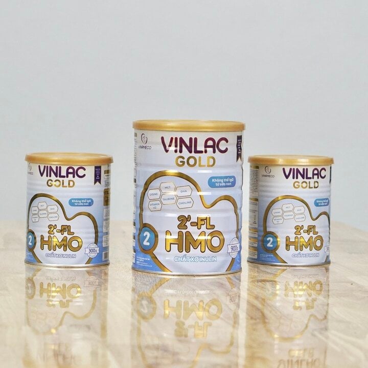 Vinlac Gold chứa đạm Whey dễ chuyển hóa.