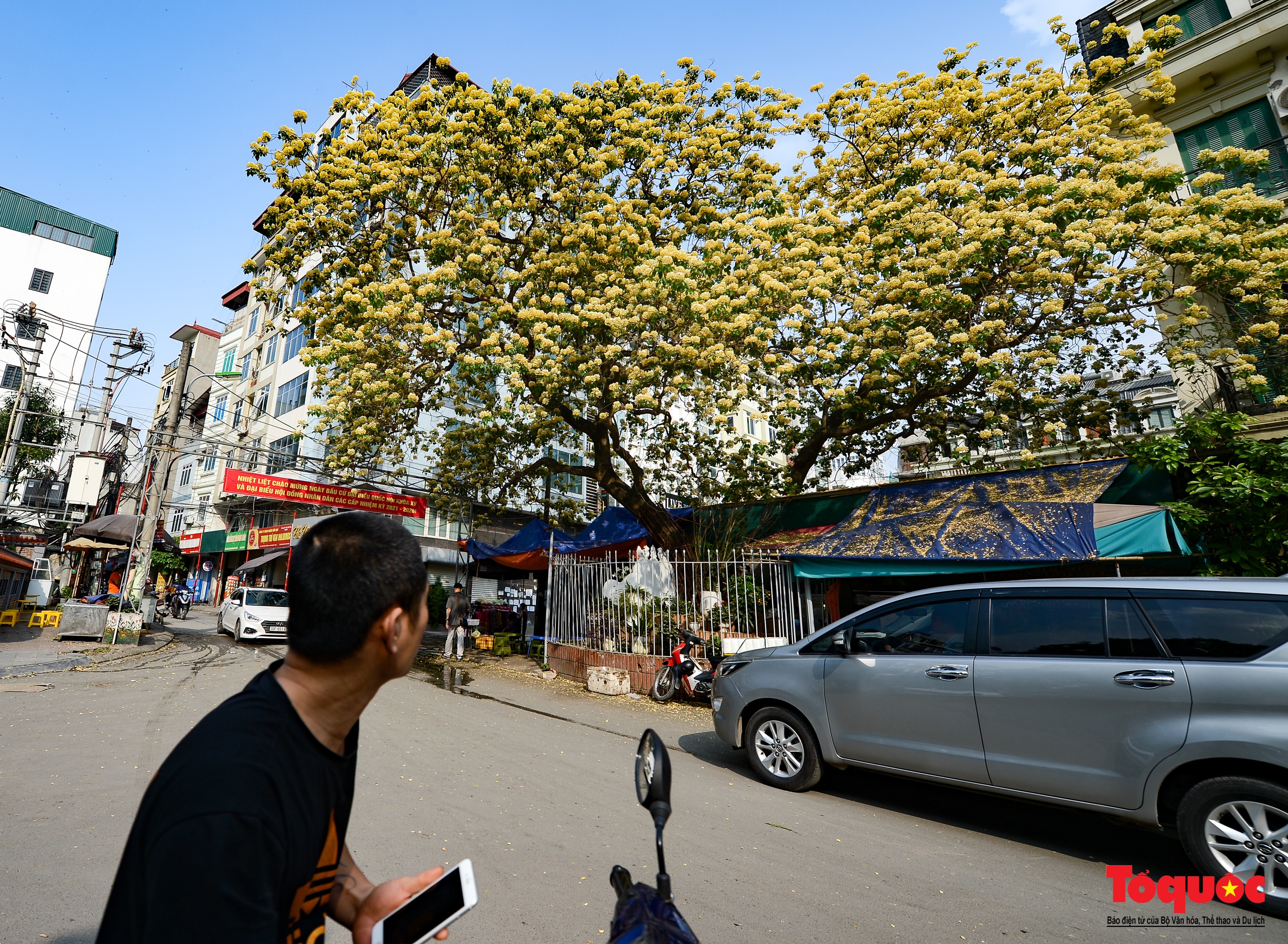 Mùa hoa bún tỏa sắc trong lòng Thủ đô - Ảnh 6. Mùa hoa bún tỏa sắc trong lòng Thủ đô - Ảnh 6.