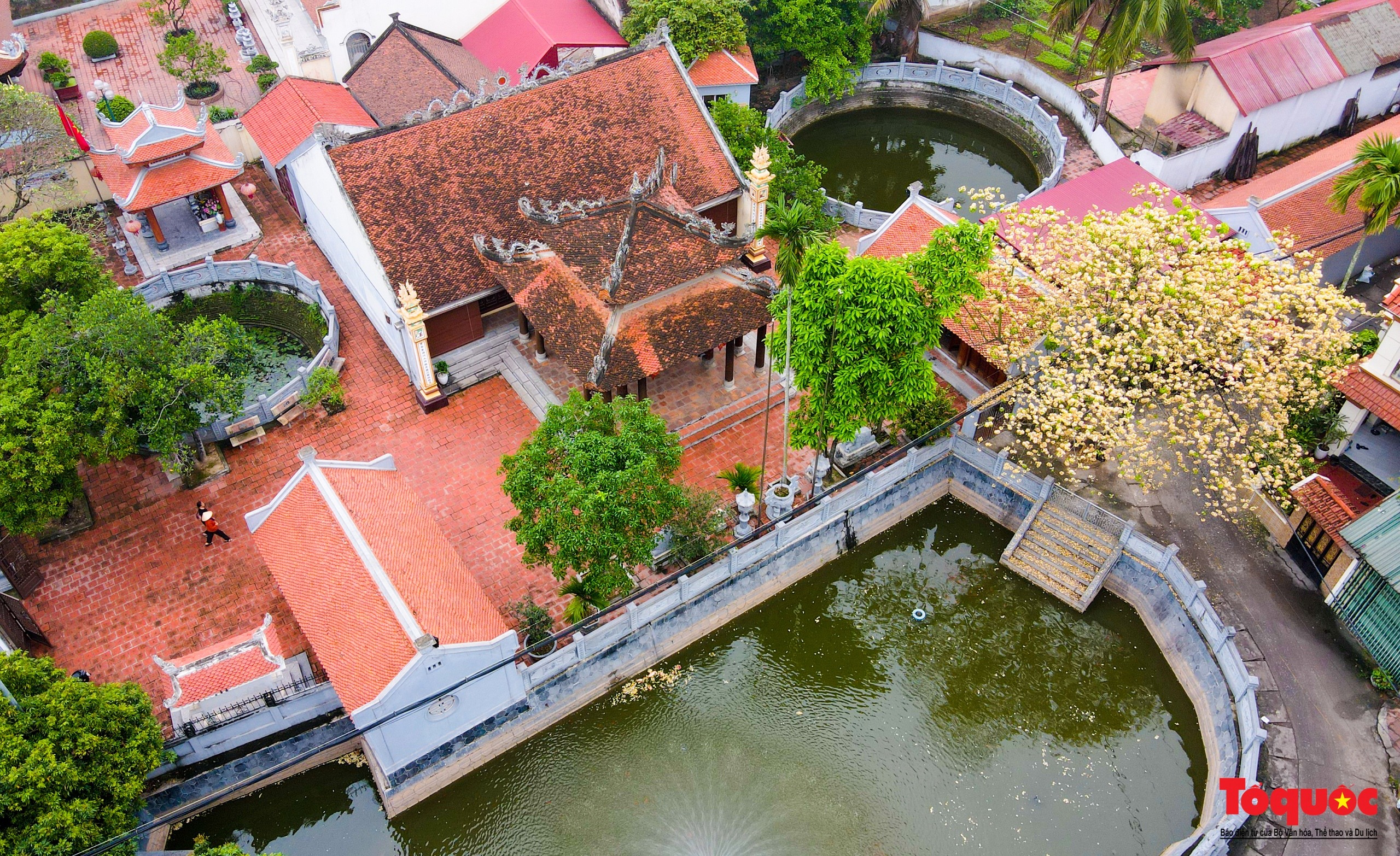 Mùa hoa bún tỏa sắc trong lòng Thủ đô - Ảnh 10. Mùa hoa bún tỏa sắc trong lòng Thủ đô - Ảnh 10.