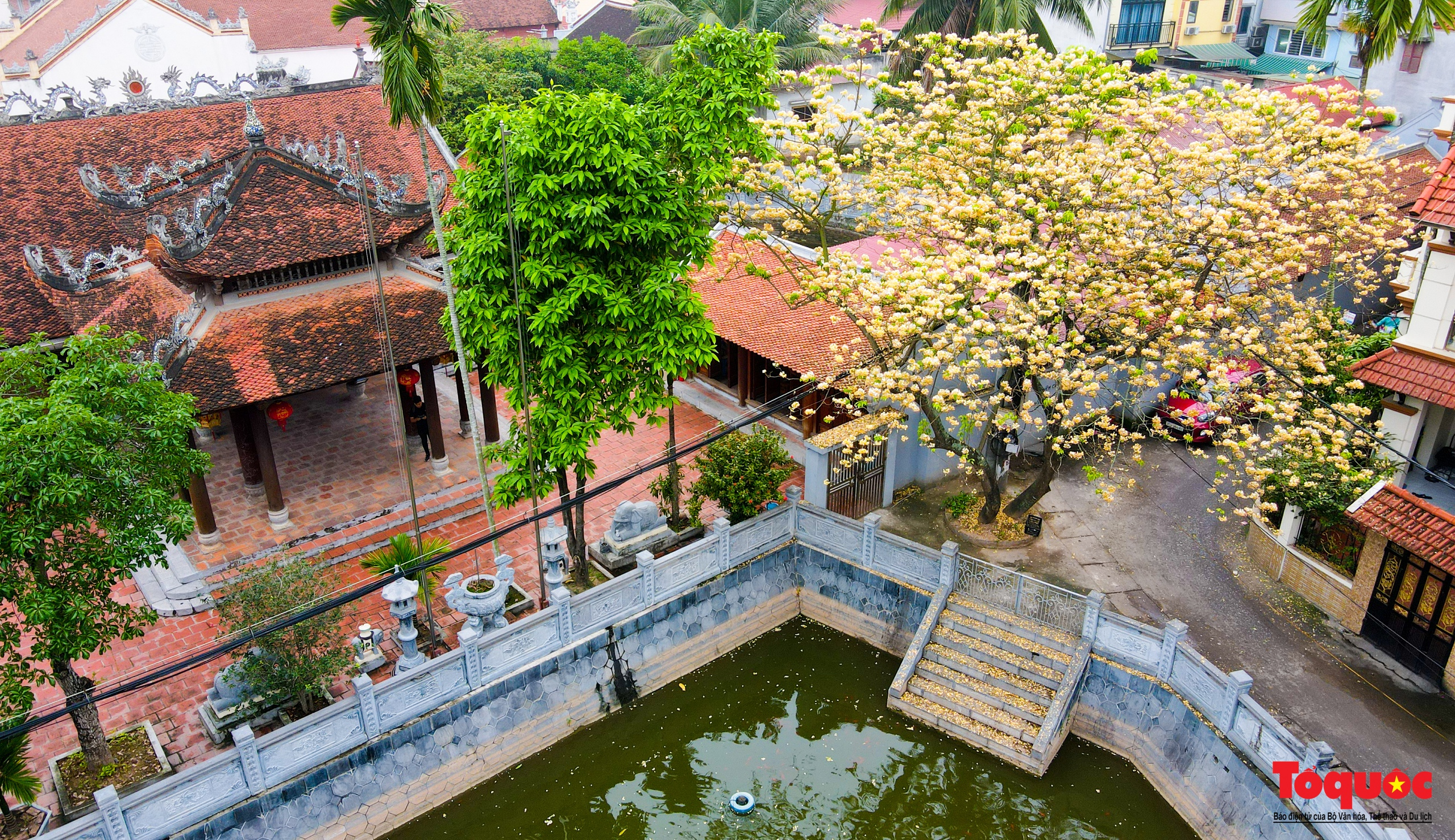 Mùa hoa bún tỏa sắc trong lòng Thủ đô - Ảnh 11. Mùa hoa bún tỏa sắc trong lòng Thủ đô - Ảnh 11.