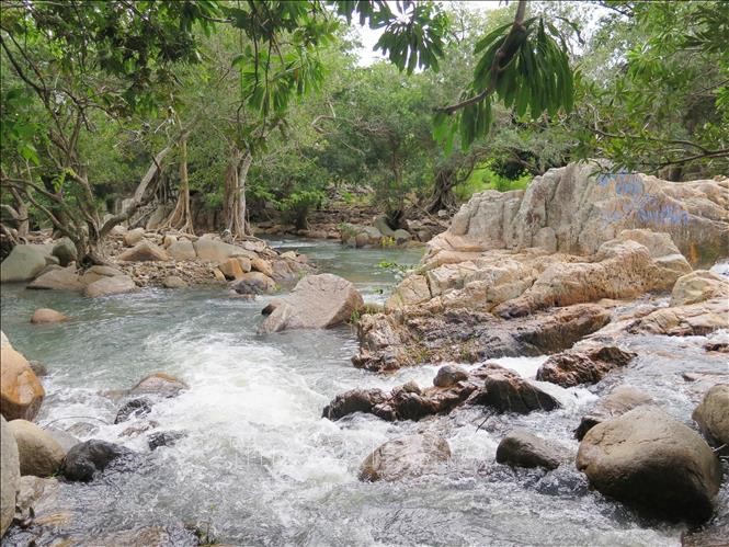 Đây là vịnh biển đẹp nhất Ninh Thuận, bất ngờ dòng suối Lồ Ô dưới chân núi Chúa nước tuôn mát lạnh - Ảnh 5.