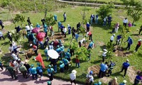 Hưởng ứng Tiền Phong Marathon 2024: Trồng cây cho cuộc sống xanh