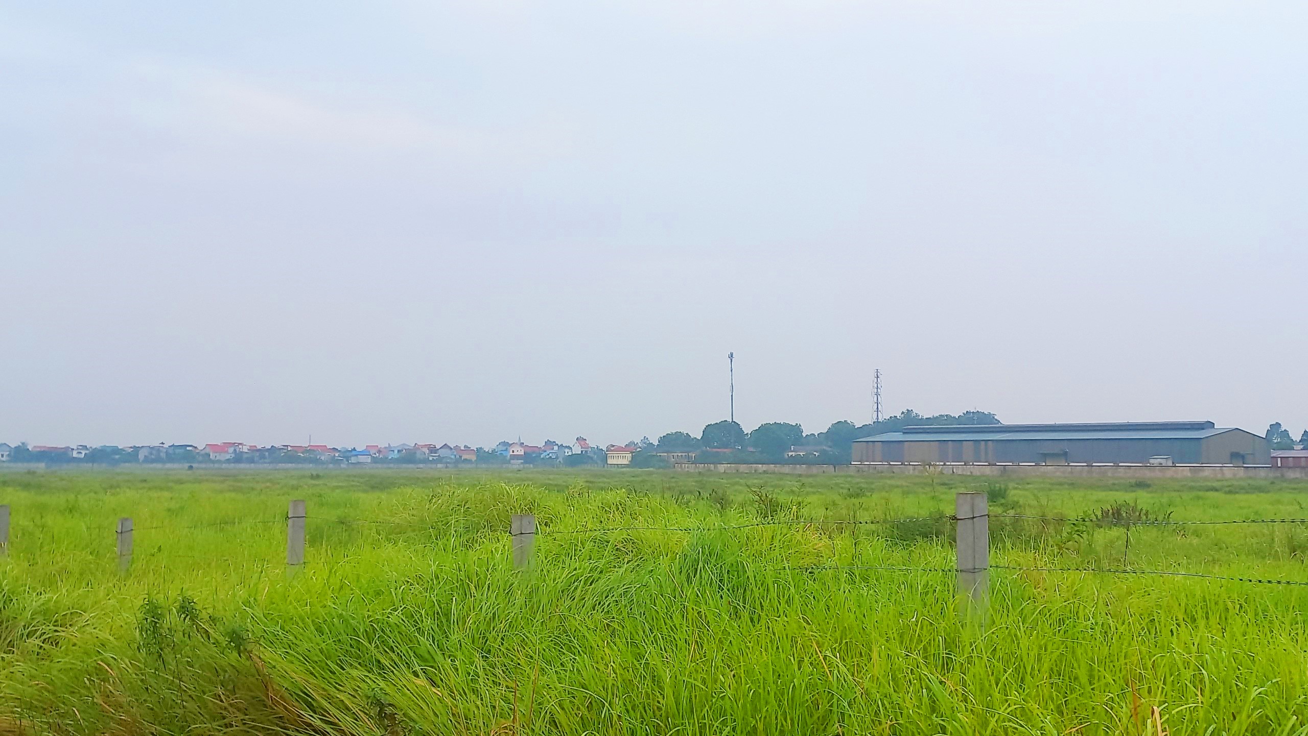 Hàng loạt dự án trăm tỉ, nghìn tỉ chậm tiến độ bị Hải Dương bêu tên- Ảnh 2. Hàng chục ha đất dự án của Công ty CP Vinamit bỏ hoang nhiều năm nay