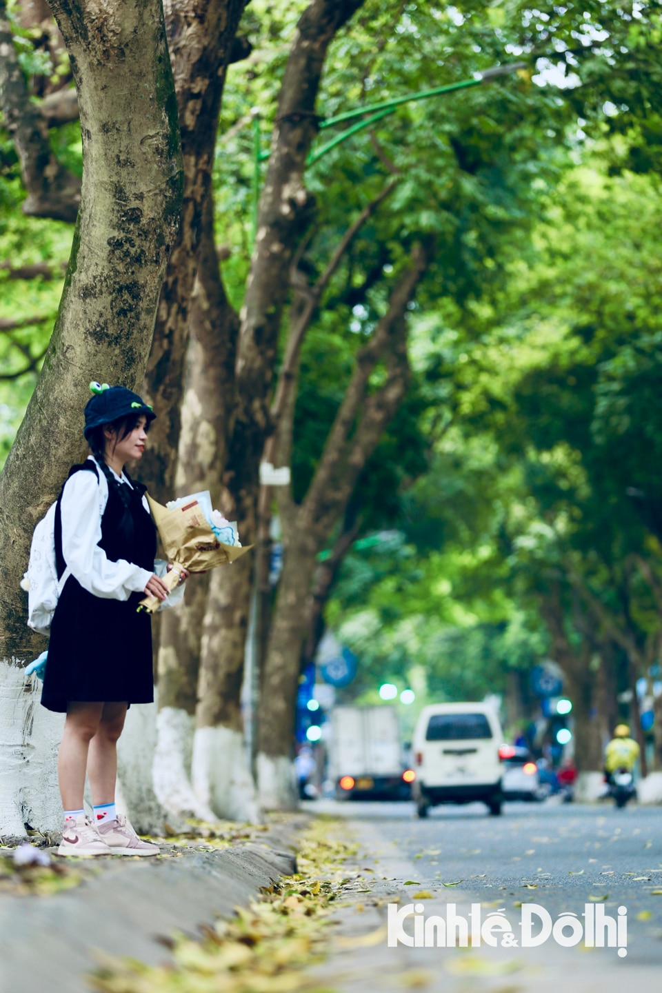 Hà Nội: Ngắm nhìn vẻ đẹp mộng mơ mùa sấu thay lá trên phố Phan Đình Phùng - Ảnh 4