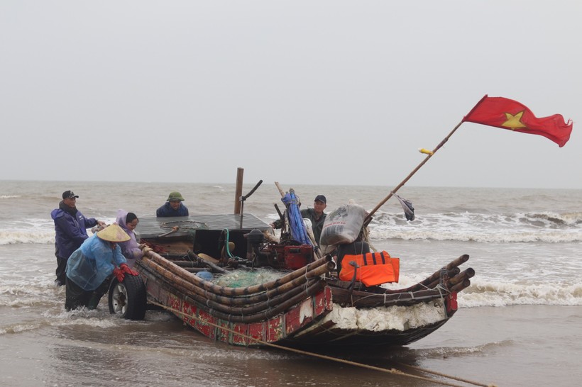 Ngư dân Thanh Hoá kiếm 3- 10 triệu đồng mỗi ngày nhờ 