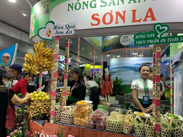 Doanh thu hơn 180 tỉ đồng tại Hội chợ Du lịch quốc tế Việt Nam- Ảnh 4.