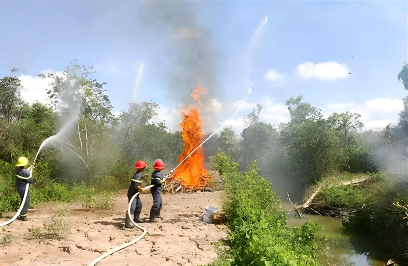 Cảnh báo cháy rừng cấp cực kỳ nguy hiểm tại Vườn chim Bạc Liêu -0