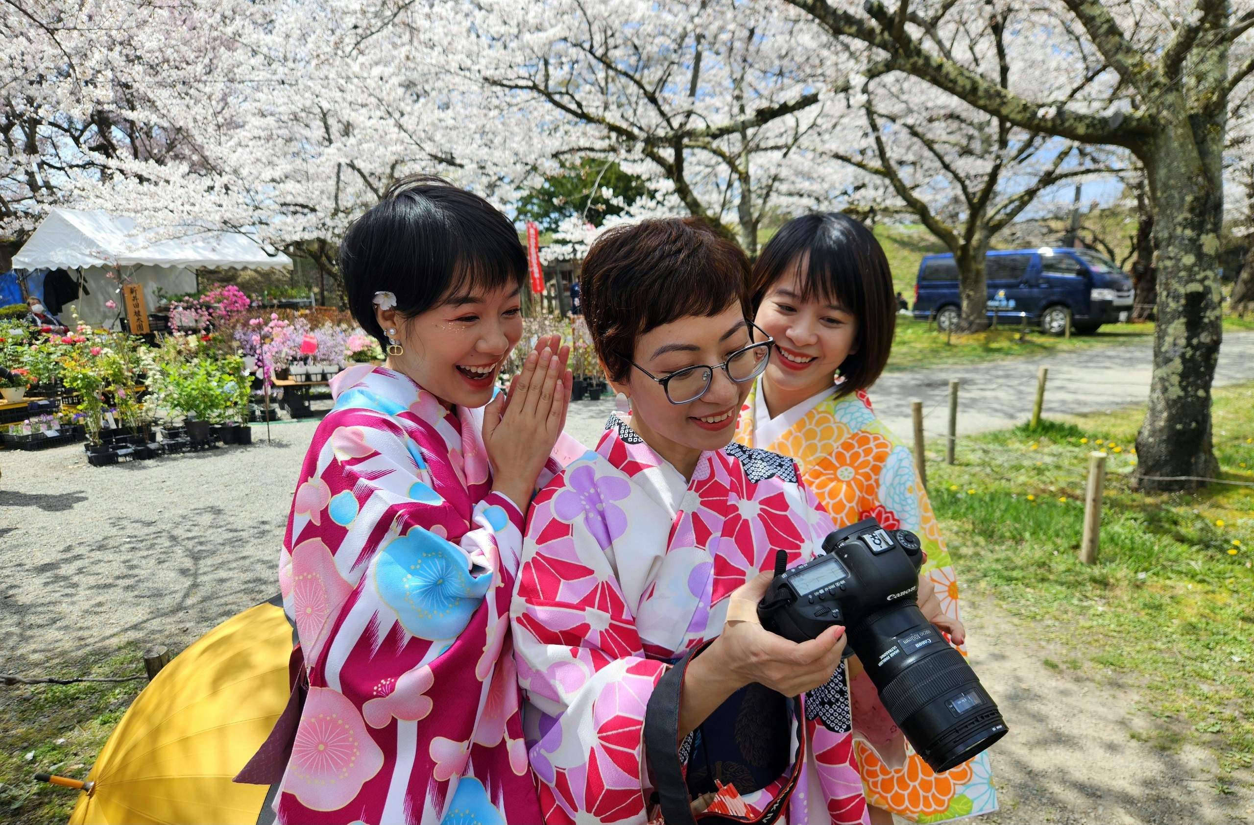 Khách Việt trải nghiệm mặc kimono, ngắm hoa anh đào ở Nhật Bản- Ảnh 3. Khách Việt trải nghiệm mặc kimono, ngắm hoa anh đào ở Nhật Bản- Ảnh 3.