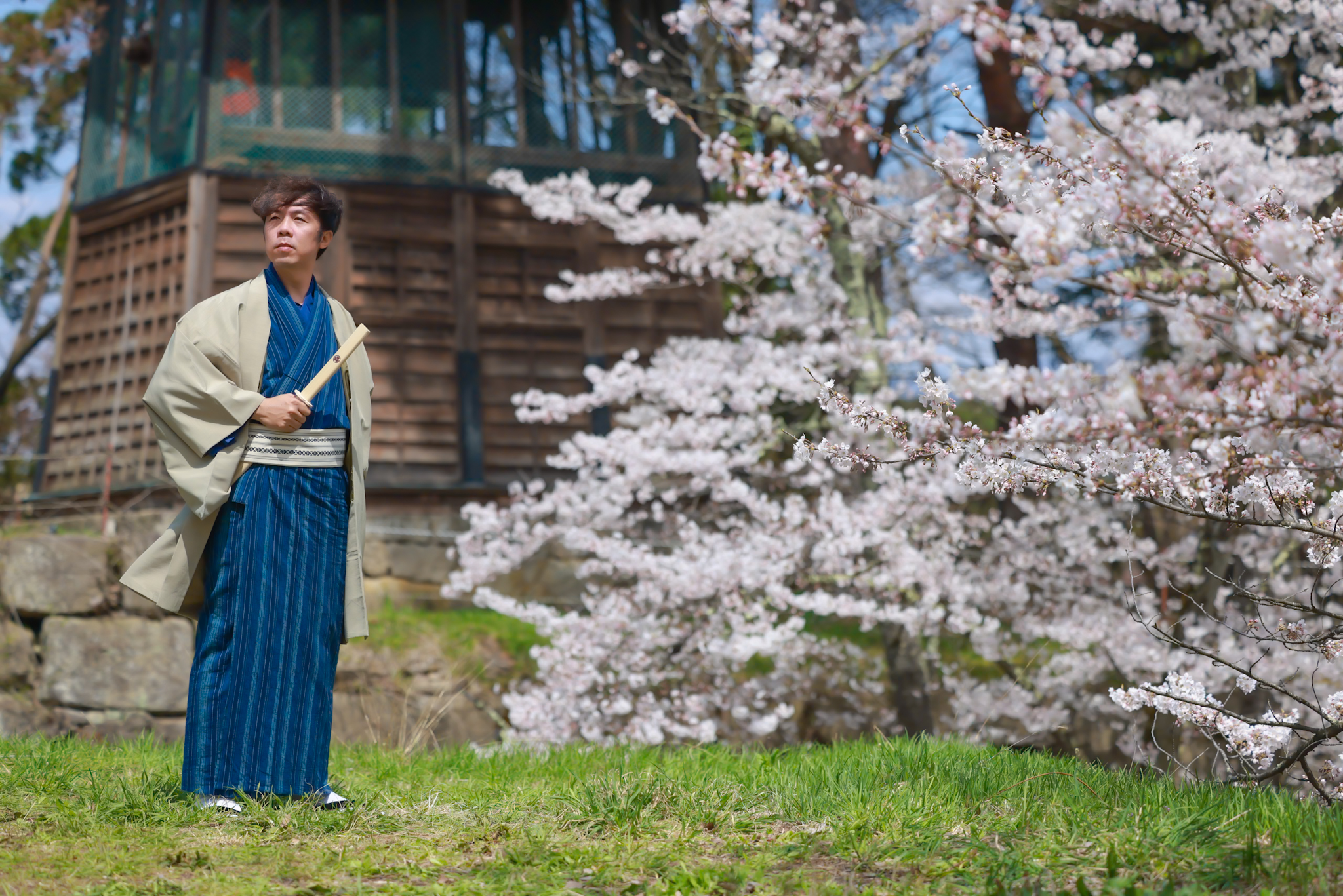Khách Việt trải nghiệm mặc kimono, ngắm hoa anh đào ở Nhật Bản- Ảnh 4. Khách Việt trải nghiệm mặc kimono, ngắm hoa anh đào ở Nhật Bản- Ảnh 4.