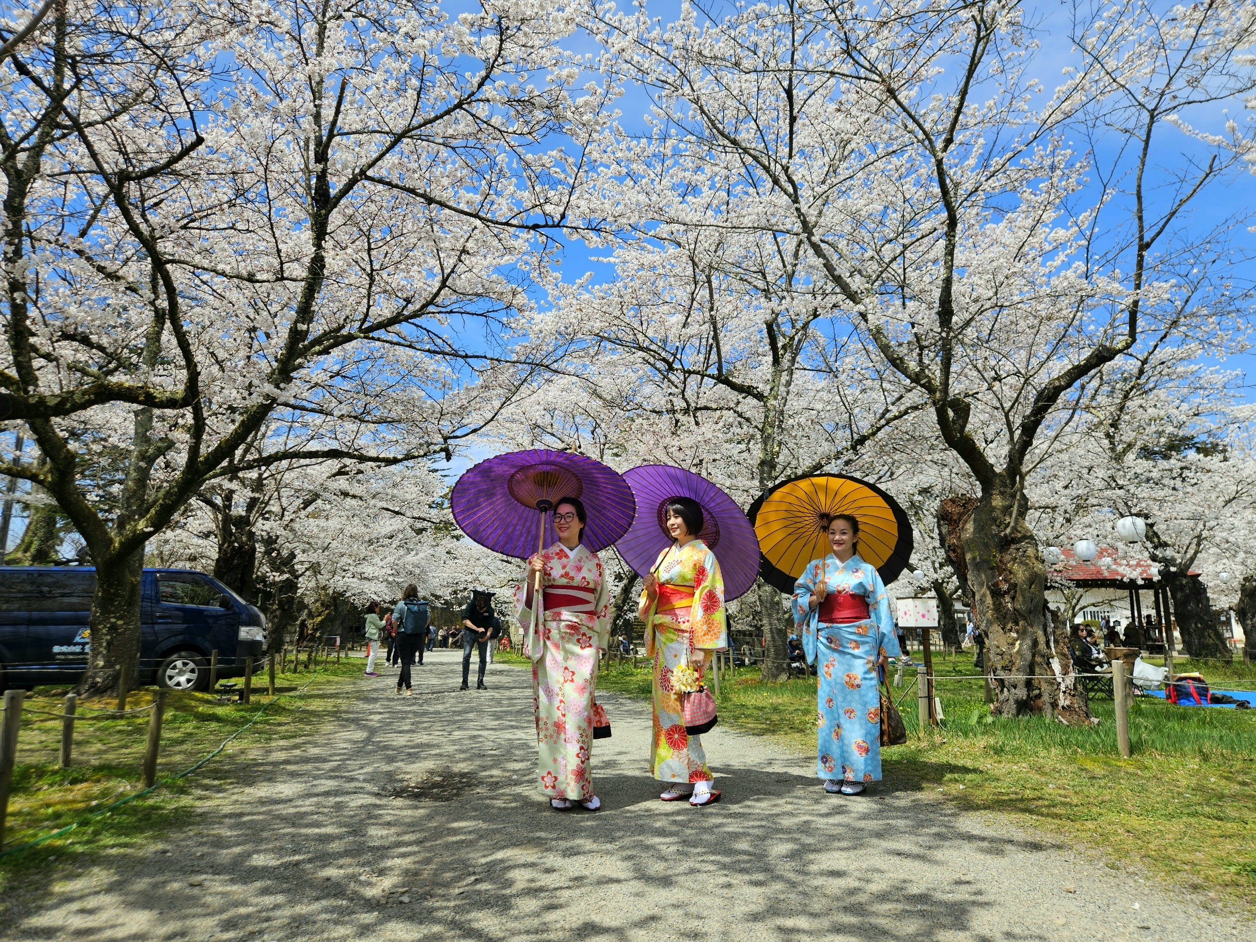 Khách Việt trải nghiệm mặc kimono, ngắm hoa anh đào ở Nhật Bản- Ảnh 5. Khách Việt trải nghiệm mặc kimono, ngắm hoa anh đào ở Nhật Bản- Ảnh 5.