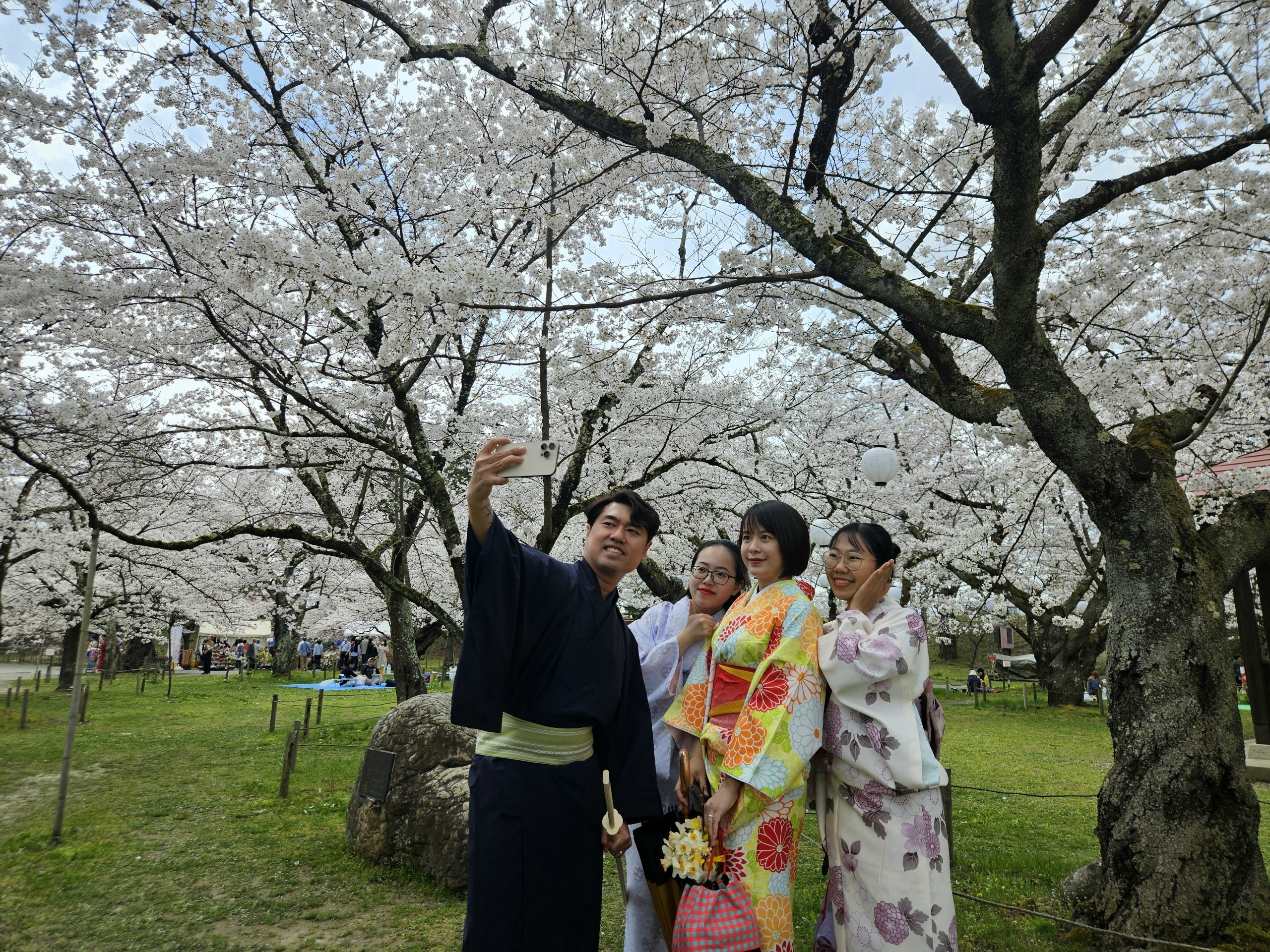 Khách Việt trải nghiệm mặc kimono, ngắm hoa anh đào ở Nhật Bản- Ảnh 7. Khách Việt trải nghiệm mặc kimono, ngắm hoa anh đào ở Nhật Bản- Ảnh 7.