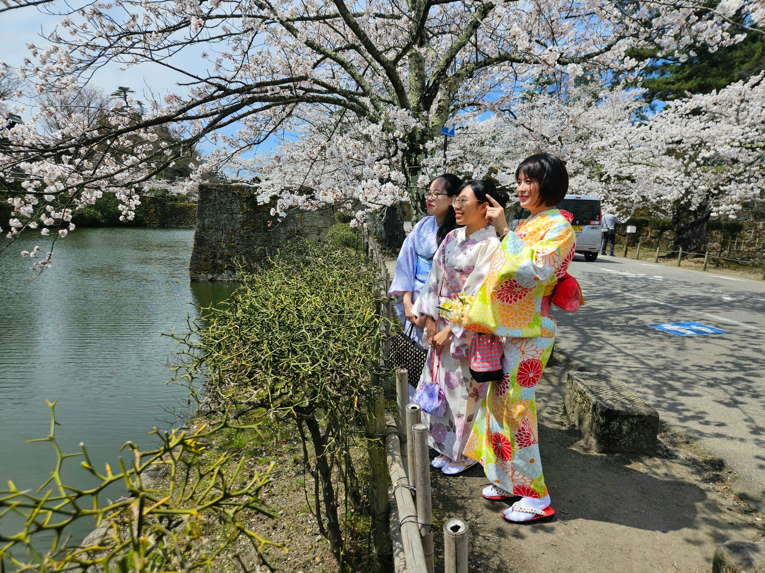 Khách Việt trải nghiệm mặc kimono, ngắm hoa anh đào ở Nhật Bản- Ảnh 9.