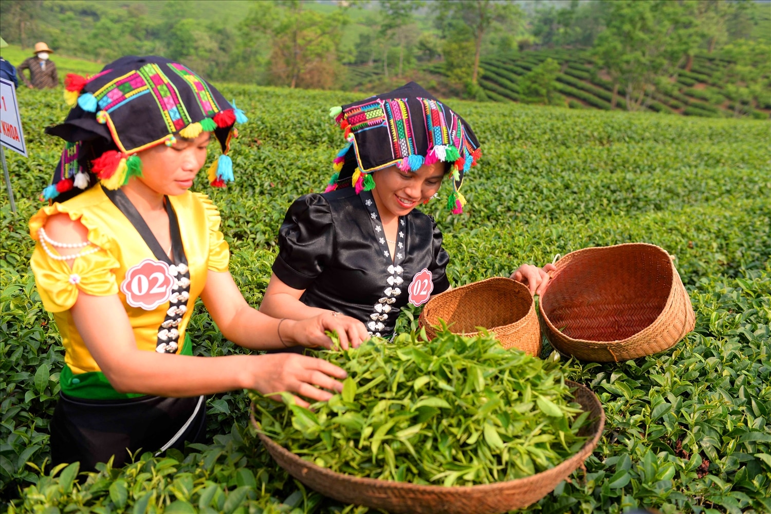 The tea is brewed using the traditional method.