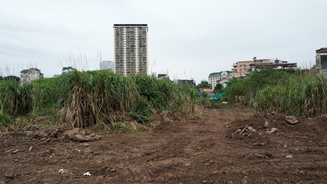 Dỡ rào dự án bỏ hoang của Tập đoàn Tân Hoàng Minh để xây vườn hoa ảnh 3