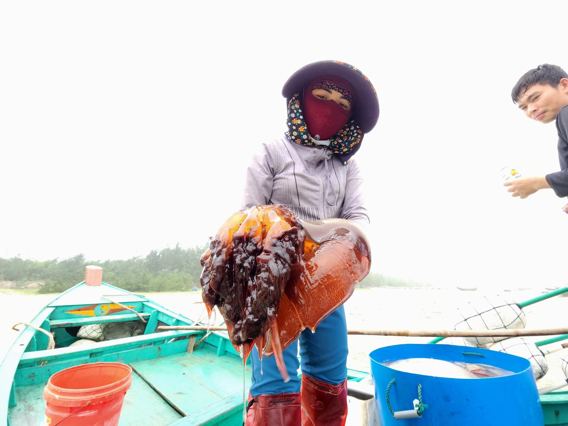 Ngư dân Hà Tĩnh vào mùa thu hoạch sứa biển, kiếm tiền triệu mỗi ngày ảnh 8