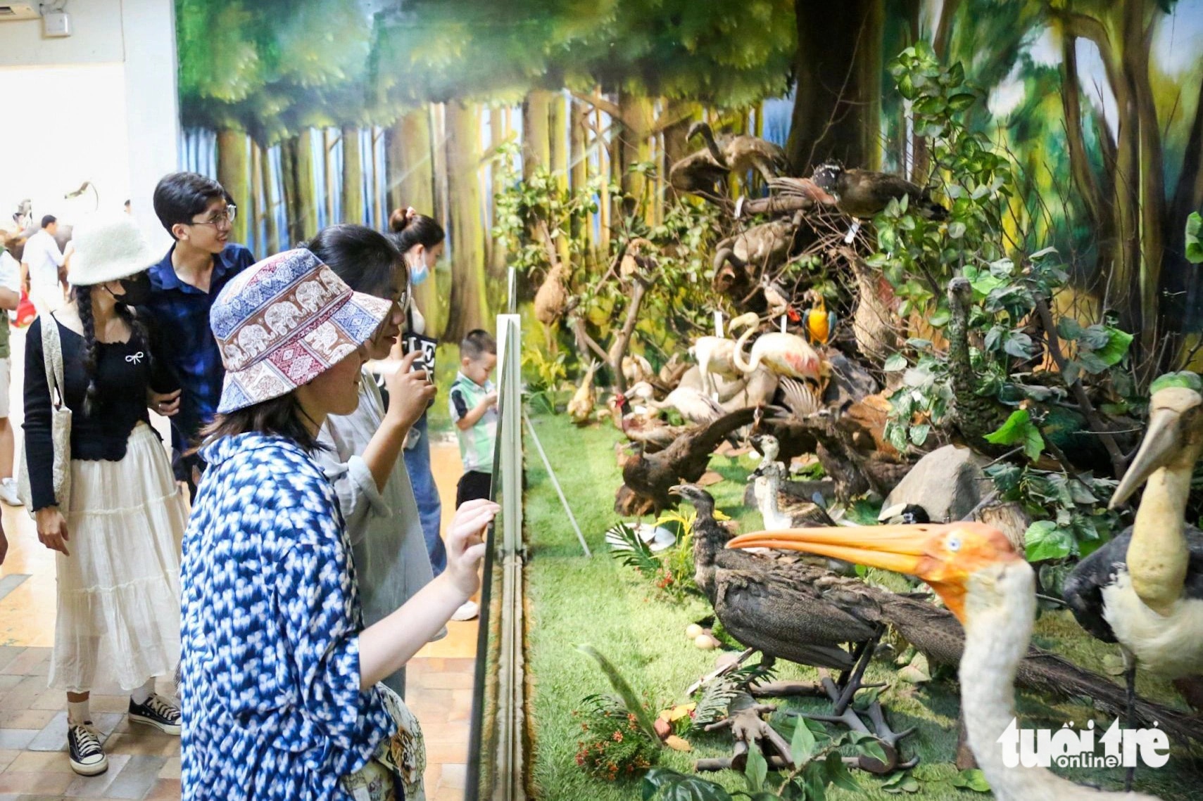 Nhiều bạn trẻ có đam mê khoa học đến bảo tàng trưng bày mô hình các loài động vật vừa được sửa chữa trong khuôn viên Thảo cầm viên để ngắm hình một số loài mà trước đây chỉ xem qua Internet - Ảnh: PHƯƠNG QUYÊN