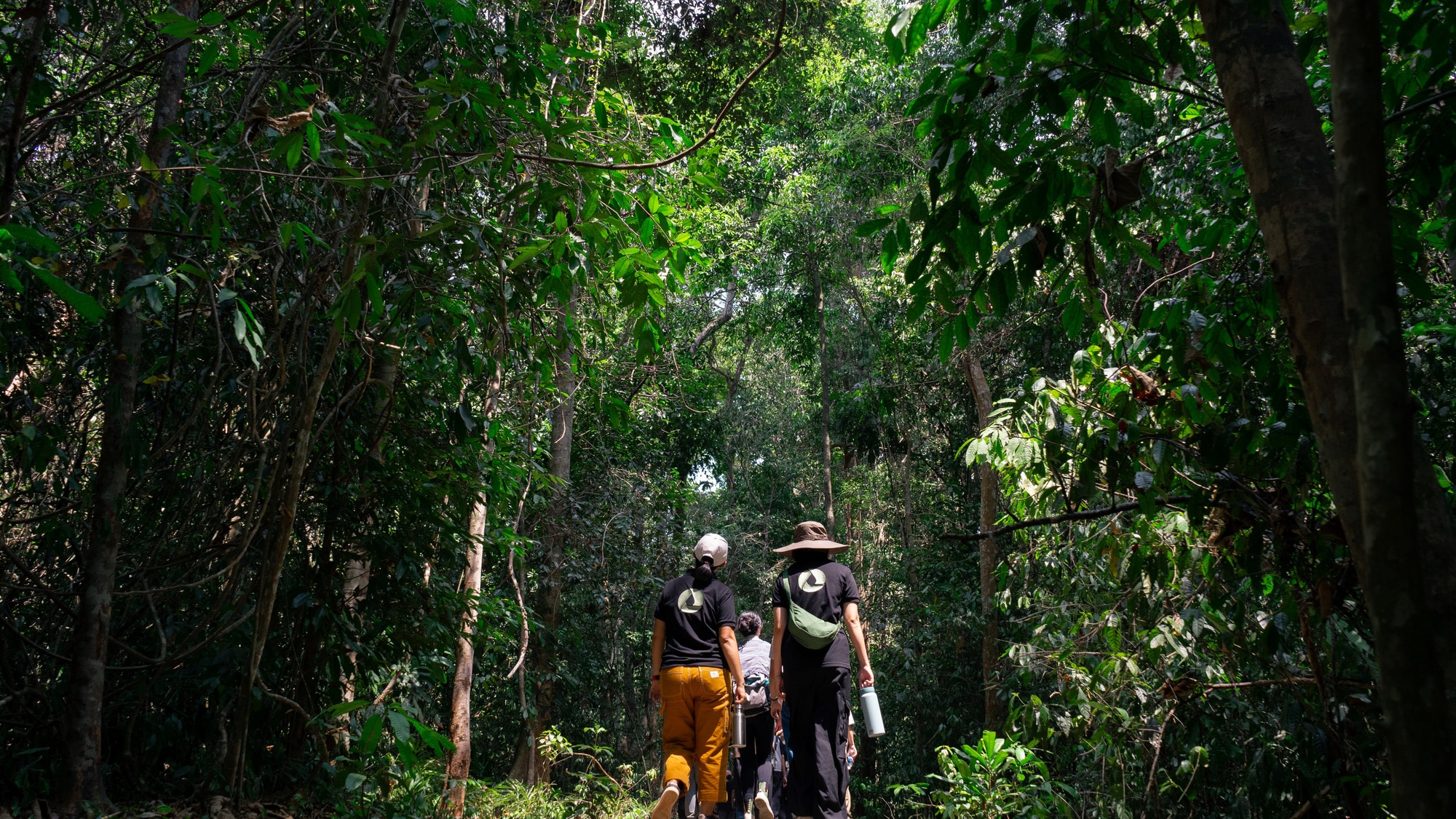 Rừng nhiệt đới Mã Đà có hệ sinh thái và cảnh quan phong phú bậc nhất Việt Nam, được Tổ chức UNESCO công nhận là khu dự trữ sinh quyển thứ 580 của thế giới vào năm 2011 - Ảnh: MINH ĐĂNG