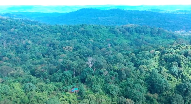 Cận cảnh khu rừng ở Việt Nam có 39 cây di sản, tuổi đời lên đến trên 450 năm ảnh 8
